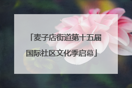 麦子店街道第十五届国际社区文化季启幕